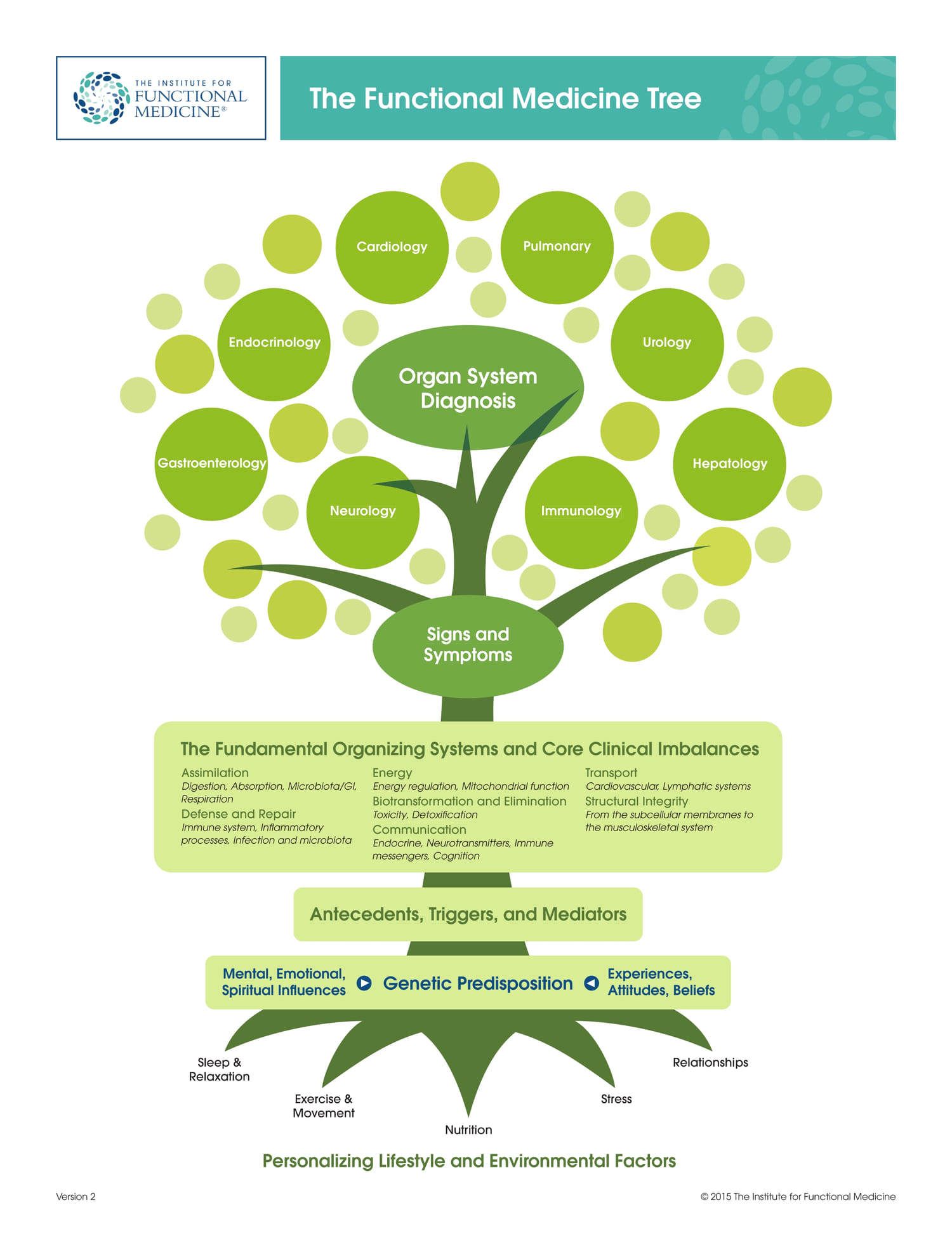 The Functional Medicine Tree. Personalizing Lifestyle and Environmental Factors.
