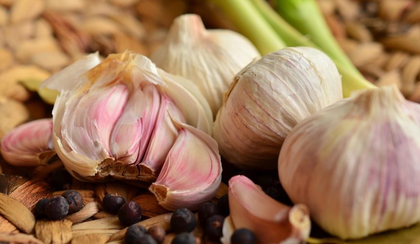 Grow your own garlic – not just to keep cheeky vampires away! Grow your own garlic – not just to keep cheeky vampires away!